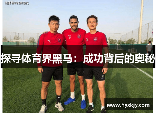 探寻体育界黑马：成功背后的奥秘